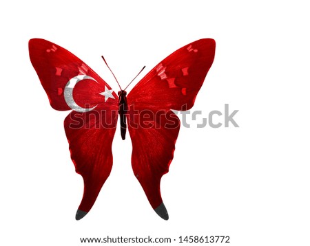 butterfly with turkey flag on wings, isolated on white background. starry striped flag. Turkey symbol