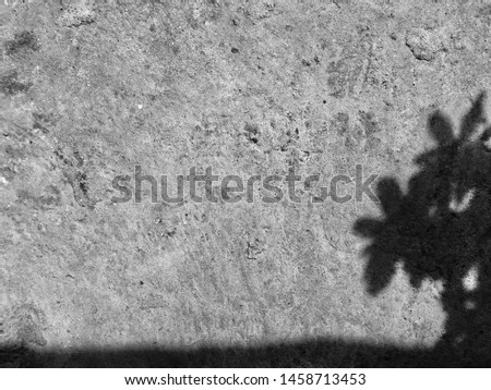 Black and white images from shadows from objects
