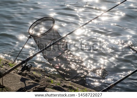 Caught Fish on the shore in a fishing cage