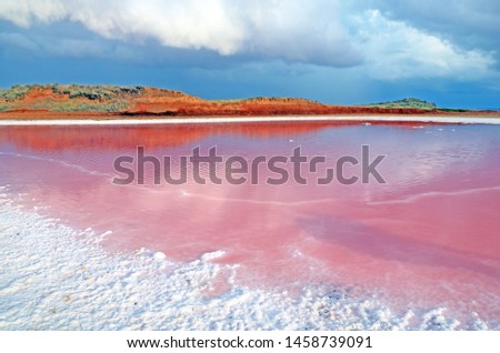 Pink calt lake in Crimea. Evpatoria, lake Sasyk-Sivash Royalty-Free Stock Photo #1458739091