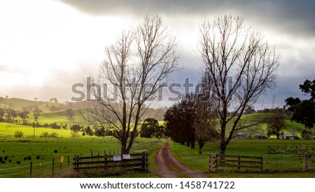 Early morning view from Mansfield in Victoria, Australia. Australian landscape, road leading to a property