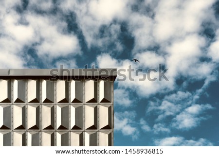 Bird in the sky over the urban building