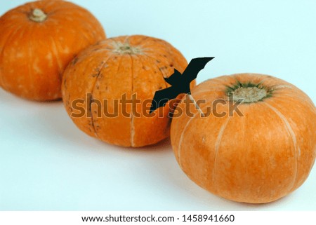 pumpkins decorated with paper cut bats on a white background 