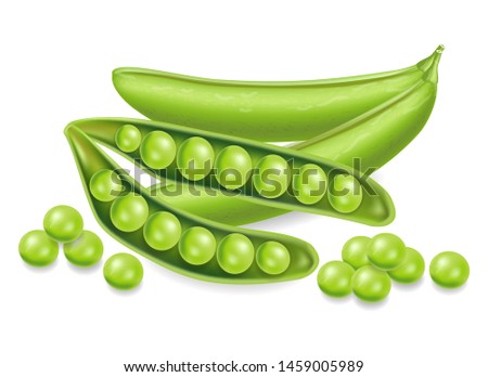 Green peas Vector realistic isolated on white. 3d detailed illustration Royalty-Free Stock Photo #1459005989