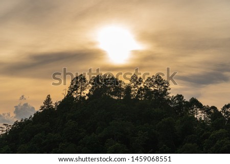The cloudy sun is covering the horizon behind the tree on the mountain in the evening.