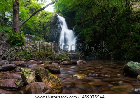 Waterfall in the forest, natural paradise with plenty of rocks, a river and a lot of trees. The shadow and the light show in the picture. A perfect long exposure water landscape. Nice river for a bath