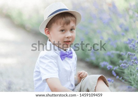 A little boy of 5 years old walks in a flowered park. Lavender. Spring.