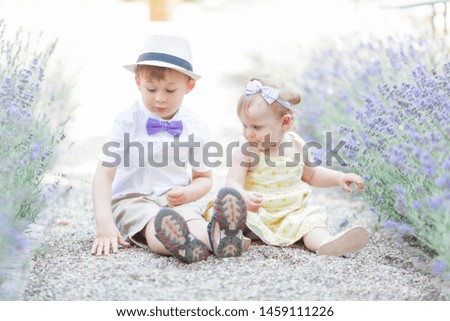 Little brother and little sister are sitting near the blooming lavender. Warm summer.