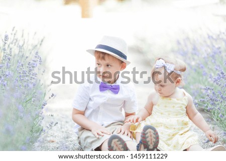 Little brother and little sister are sitting near the blooming lavender. Warm summer.