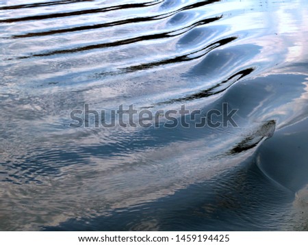 Water surface in the lake