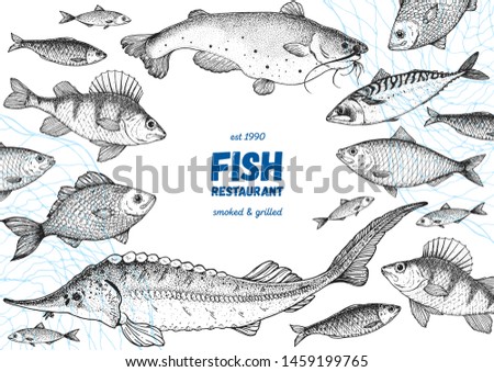 Fish sketch collection. Hand drawn vector illustration. Seafood frame vector illustration. Food menu illustration. Hand drawn perch, mackerel, sturgeon, catfish. Engraved style. Sea and river fish