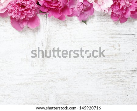 Stunning pink peonies on white rustic wooden background. Copy space