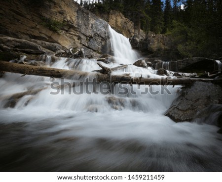 Waterfall in the Canadian rocky mountains shot at a slow shutter speed with water cascading down and over a fallen tree with green trees in the background