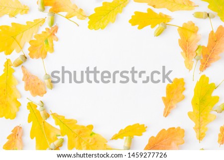 Flat lay composition with colorful autumn leaves and acorns on a white background