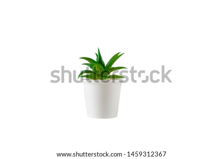 Decorative green flower in white vase. Isolated on white background.
