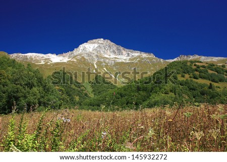Early autumn in the mountains with drooping grass in the background of the top and forests