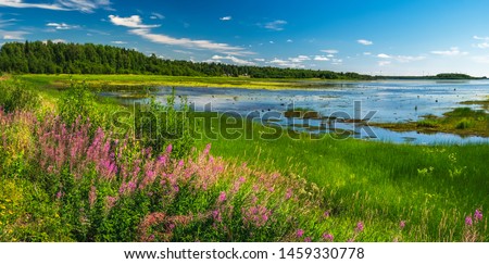 Summer landscape with green medow and pond, forest and village on horizon near Sangis in Kalix Municipality, Norrbotten, Sweden. Swedish landscape in summertime. Royalty-Free Stock Photo #1459330778