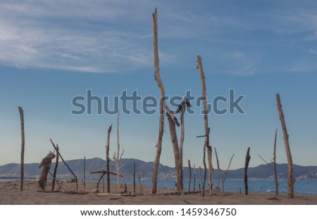 Sticks in the sand with a mountain in the background. 