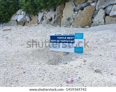 Sign of turtle nest on the beach