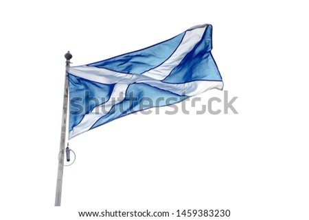 Scottish flag on the pole waving on the wind. Izolated object on white background.