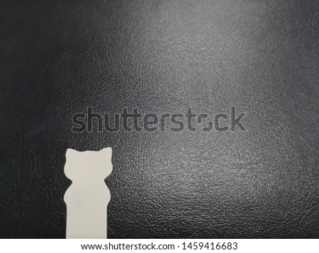 Silhouette white cat on black background. Shadow-figure isolated cat icon. shadow Cat shape on black background.
