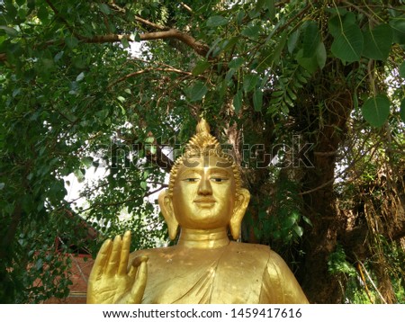 The color golden Buddha image under the Bodhi tree
