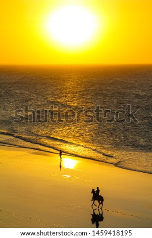 Horseback riding during beautiful sunset on the beach in Jericoacoara, Brazil