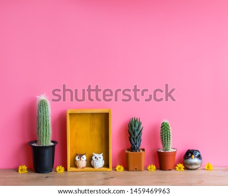 Beautiful  cactus,wooden  shelf  and  simulated  owl  on  wood  table  with  pink  background