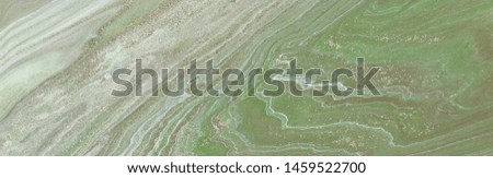 photography of abstract marbleized effect background. green and white creative colors. Beautiful paint