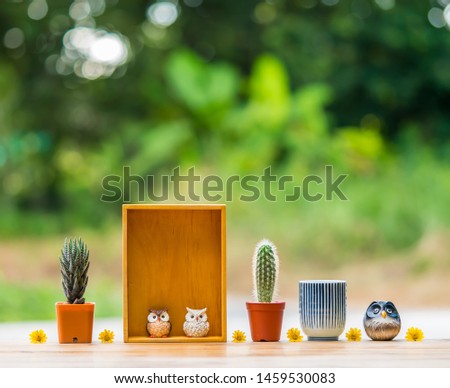Beautiful  cactus,wooden  shelf,cup  and  simulated  owl  on  wood  table  with  nature  blurry  background