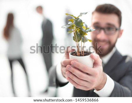 smiling businessman shows green young sprout