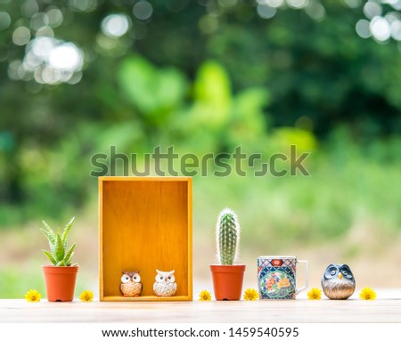 Beautiful  cactus,wooden  shelf,coffee  cup  and  simulated  owl  on  wood  table  with  nature  blurry  background