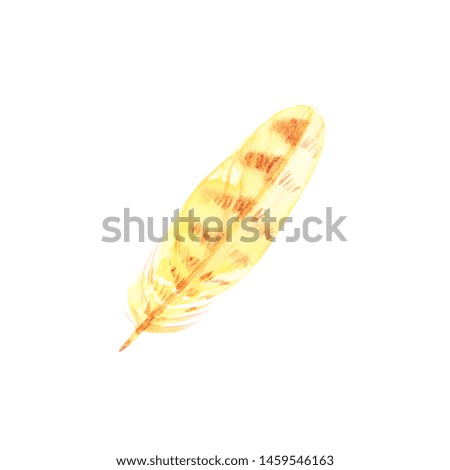 Watercolor boho feather illustrations. Easter clip art set, isolated on white background