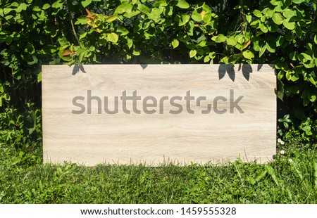 Empty rectangle wood sign on green plants and flowers background. Rustic wooden board mock up with free copy space for text or digital artwork design in the garden.