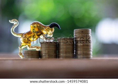 Bull model standing on a pile of coins. Concept the symbol that represents the bull market, And the upward trend of the money market.