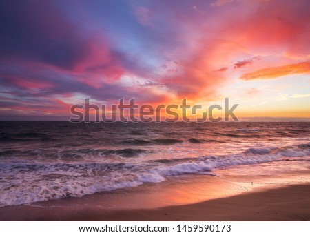 Beach Sunset
Laguna Beach, California, United States 