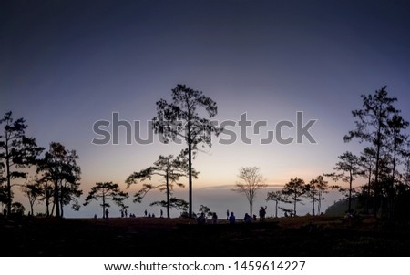 view morning silhouette a group of tourist resting on top hill under pine trees with yellow sun light in the sky background, sunrise at Nok Aen Cliff, Phu Kradueng National Park, Loei, Thailand.