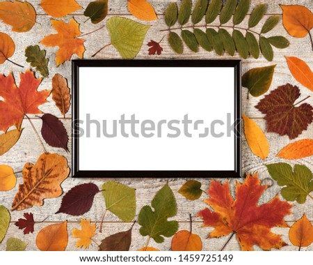 Autumn composition with leaves on a wooden background and photo frame with white empty space