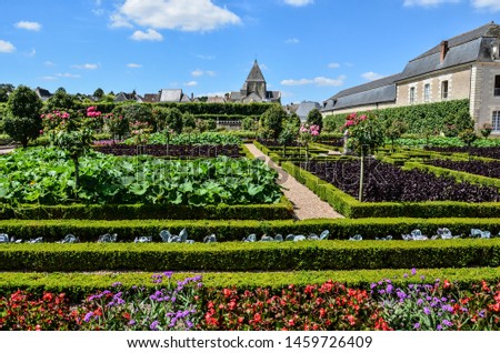 Vegetable garden in Villandry, with a view of the Saint-Etienne de Villandry Church in the background