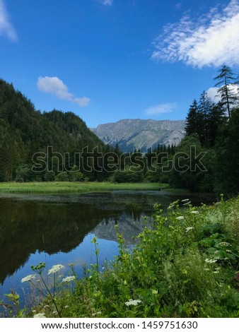 Small lake in forest and mountains