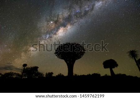 Beautiful night landscape of Milky way over Quiver Trees Forest in Keetmanshoop, Namibia. A popular landmark for tourist in NAMIBIA.
