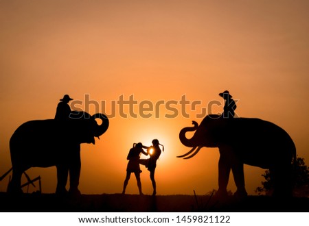 Muay thai, Thai Boxer in sunset