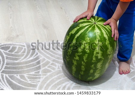 a big watermelon and little boy, kid playing with whole watermelon,