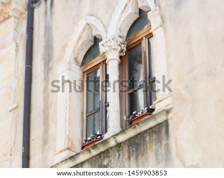 The close up image of window and garden plant, Croatia. The apartment exteriour is faded and sooty.