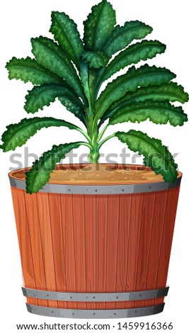 Plant in pot with soil isolated illustration