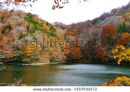 " Four seasons of Jūniko" Fukaura Town Aomori 

 Royalty-Free Stock Photo #1459930472