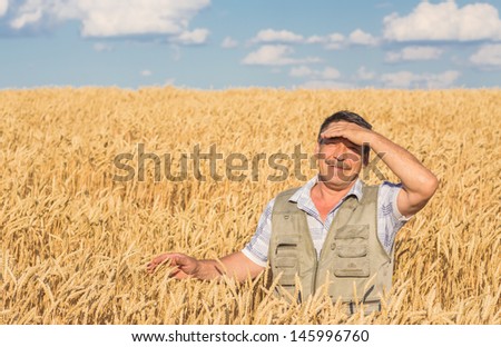 farmer standing in a wheat field, looking at the crop