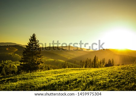 Houses on the background of the beautiful Carpathian forests. Royalty-Free Stock Photo #1459975304