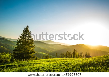 Houses on the background of the beautiful Carpathian forests. Royalty-Free Stock Photo #1459975307
