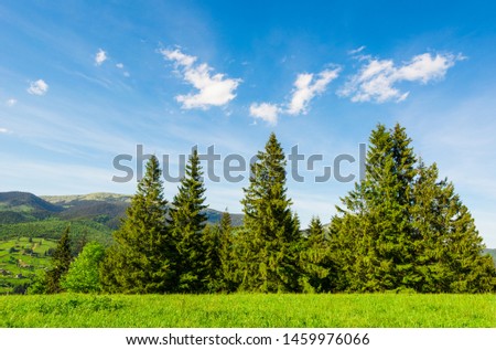 Beautiful nature in the Carpathians. Royalty-Free Stock Photo #1459976066